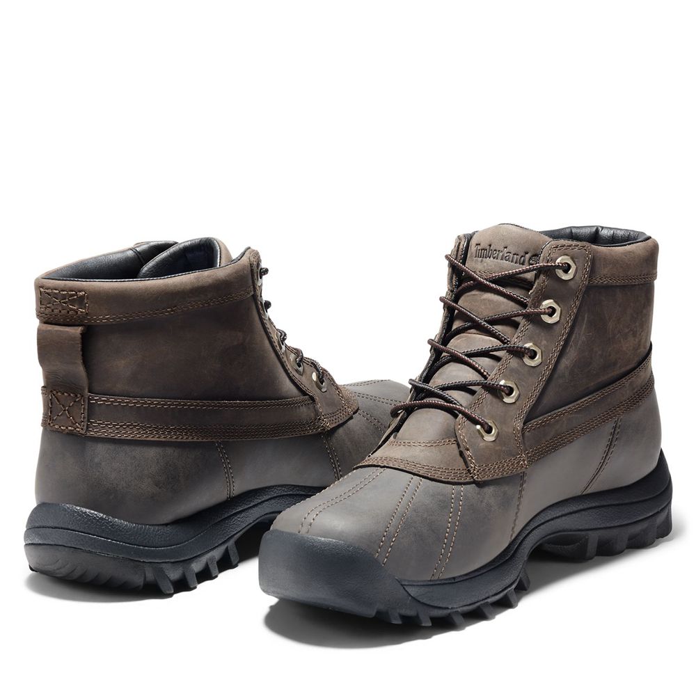 Botas de Nieve Timberland Hombre Canard Mid Waterproof Cuero Marrones - Chile FNX-670581